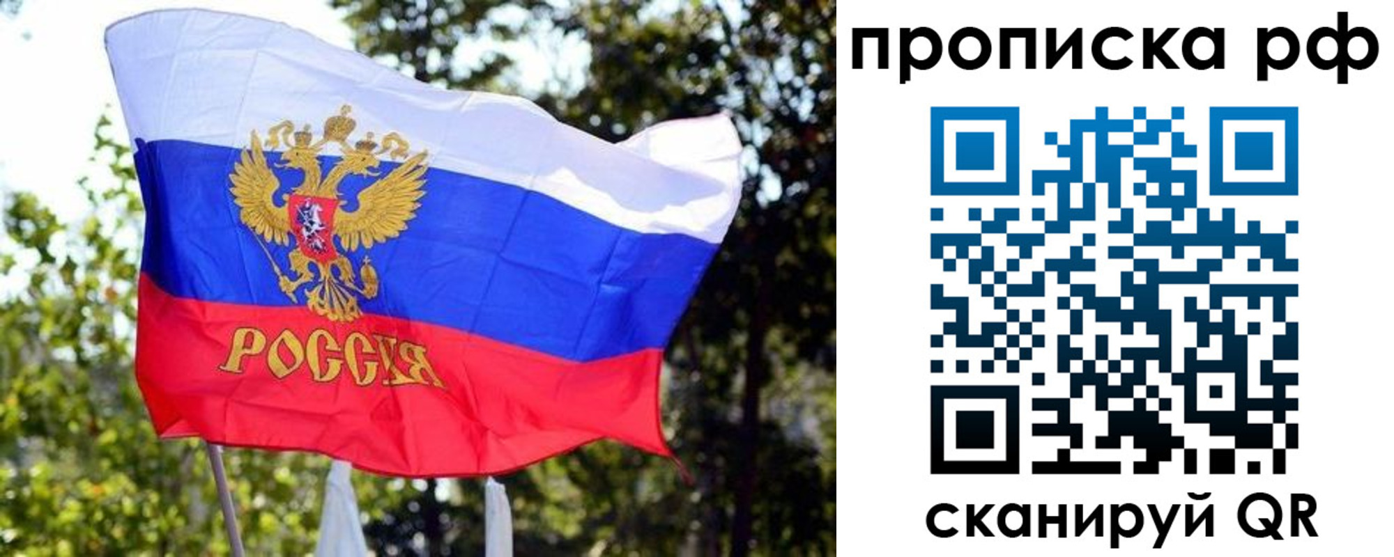 временная регистрация надежно в Химках